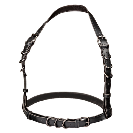 Euphoria Collection Halter Buckle Harness - Black SE3101053